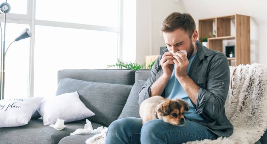 Alergia a los perros: Descubre cómo convivir con tu mascota