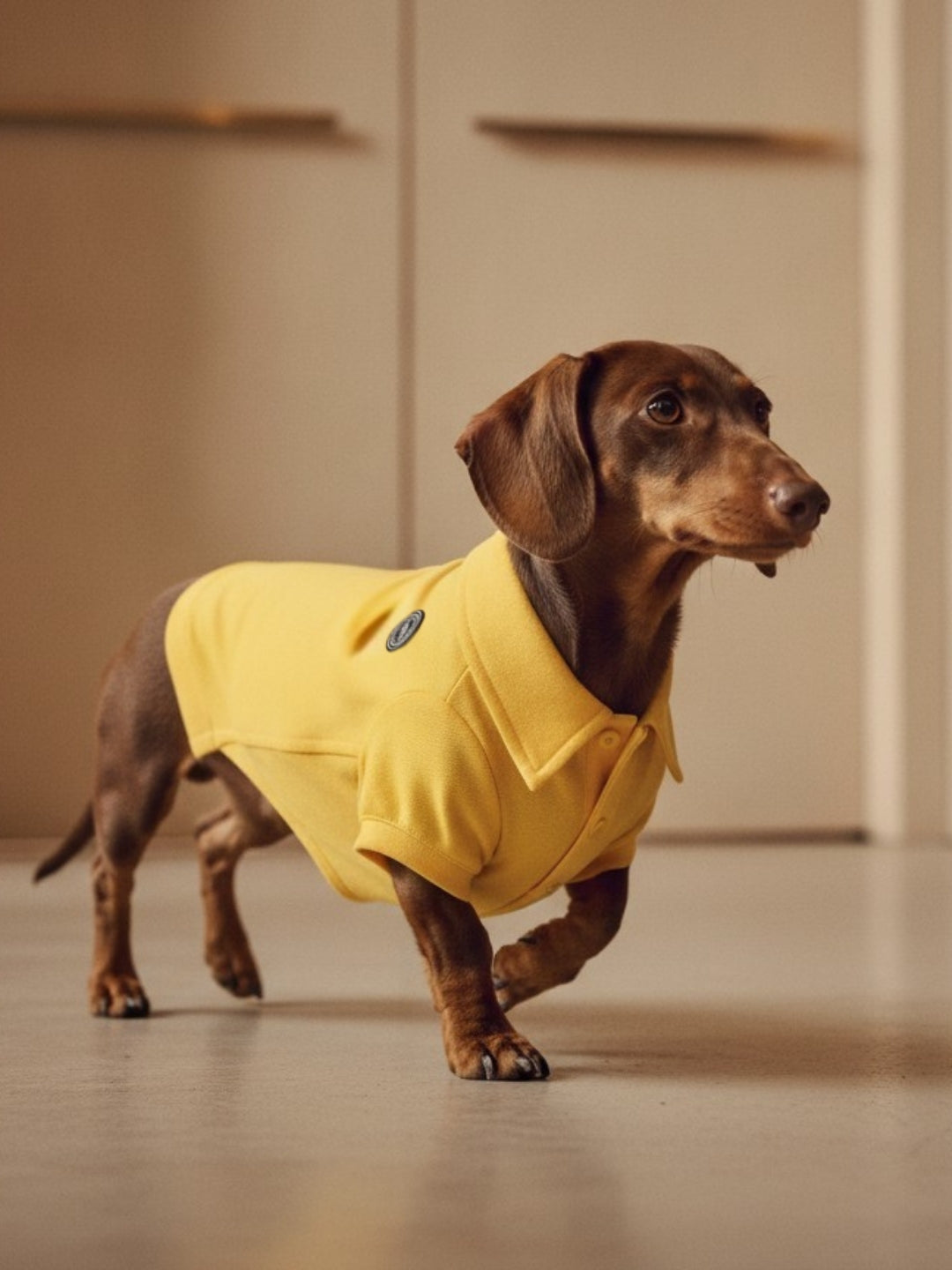 Polo Classic Yellow