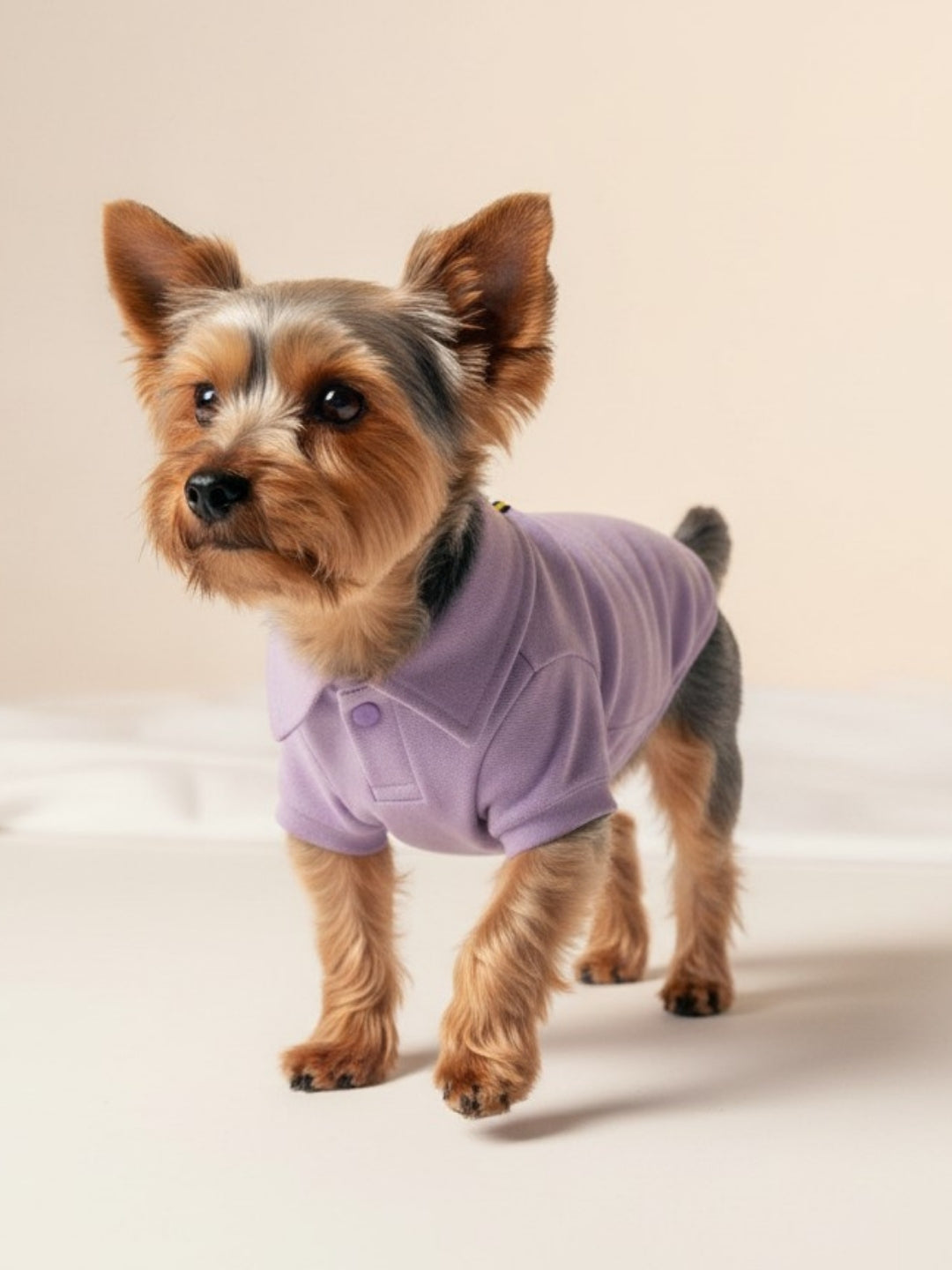 Polo Classic Purple