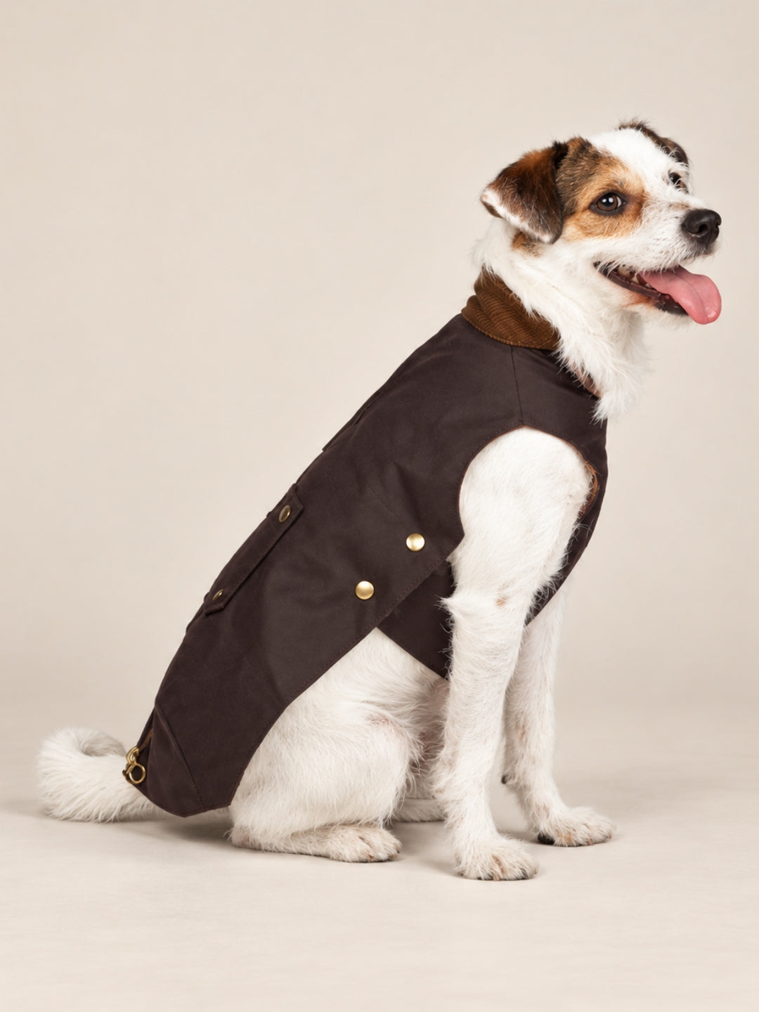 Barbour para perros
