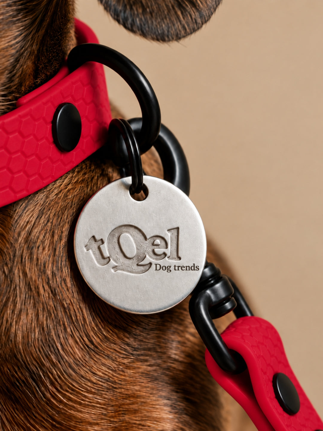 Collar para perros impermeable