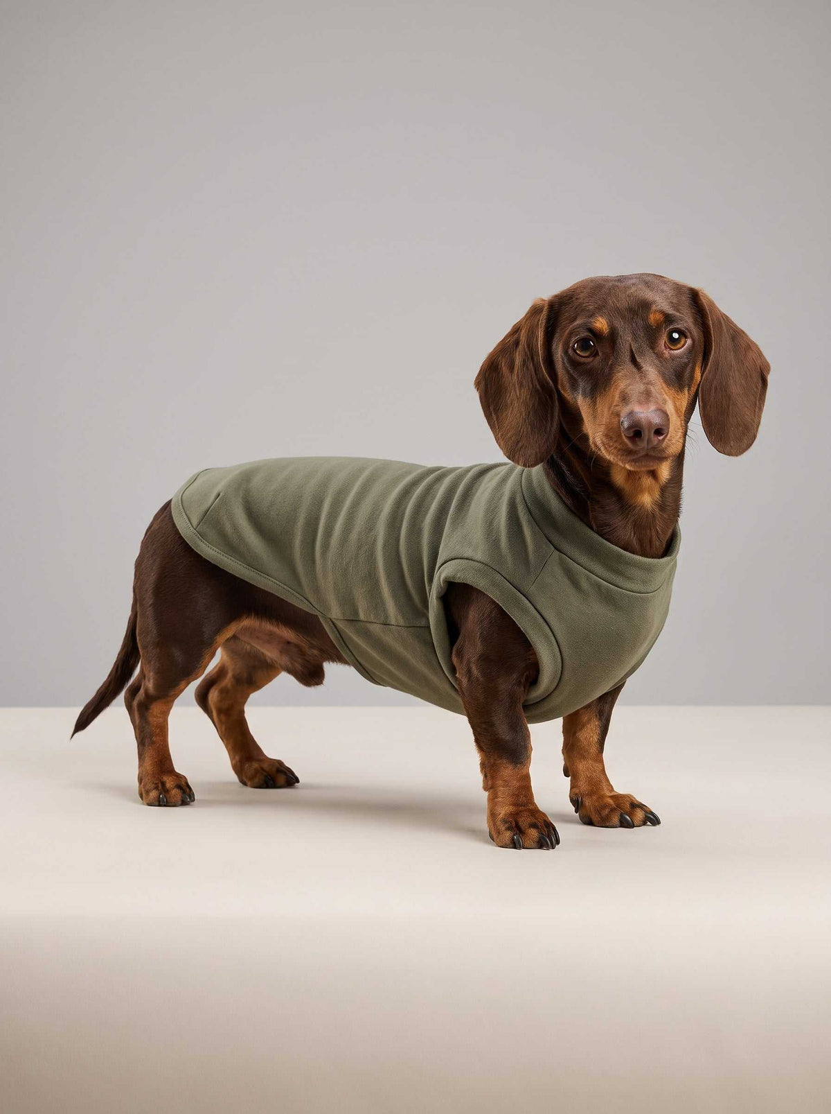 Chaqueta de punto Hudson Green