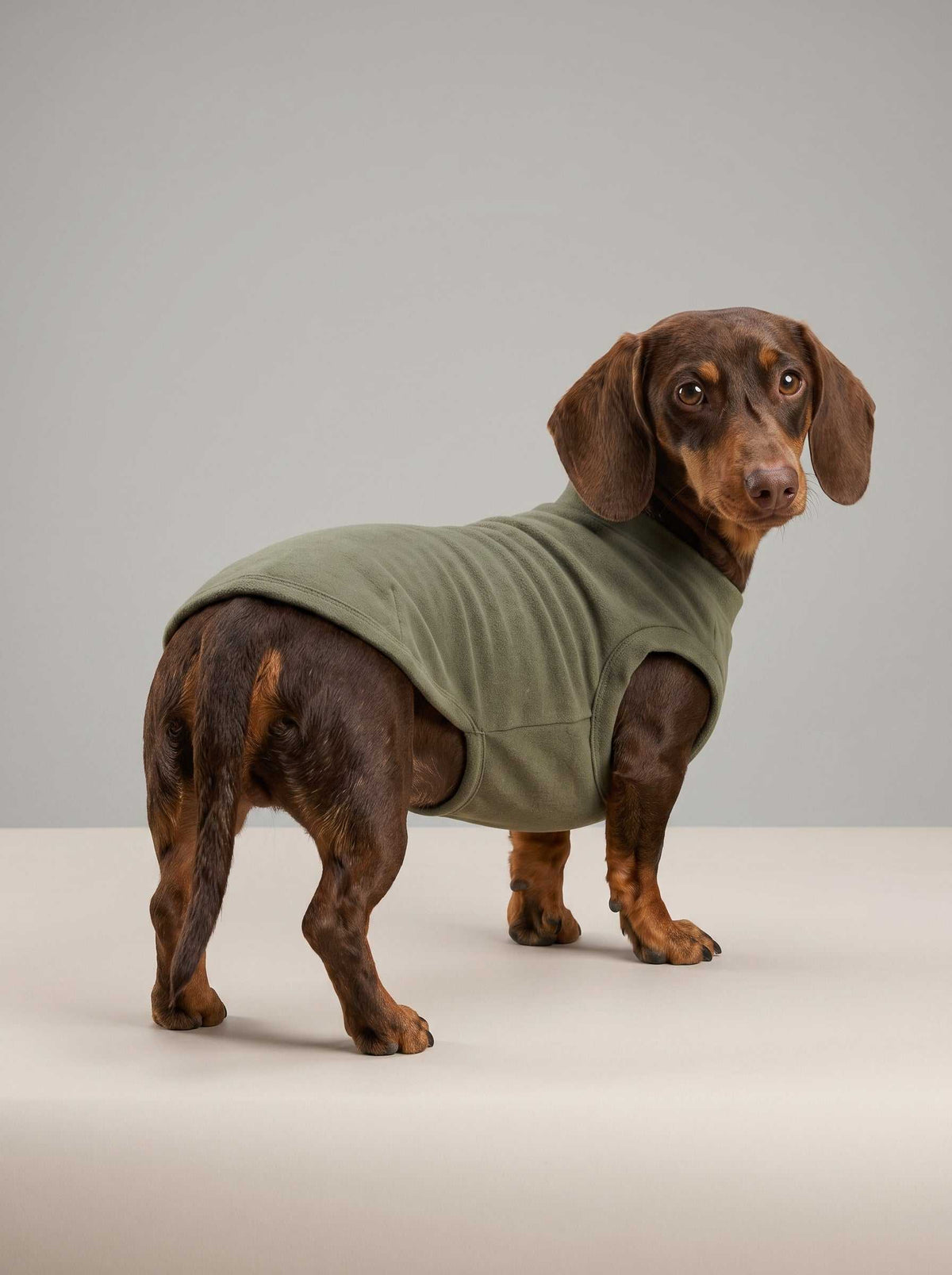 Chaqueta de punto Hudson Green