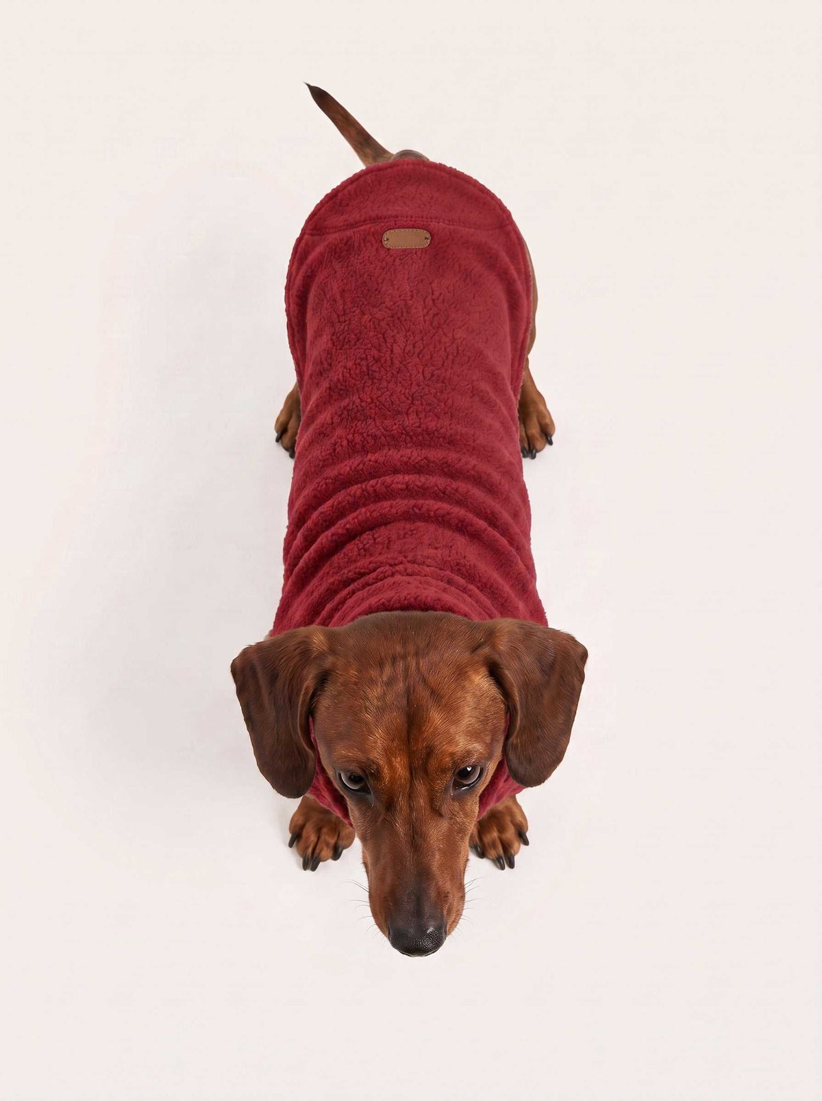 Abrigo polar Alaska Ruby
