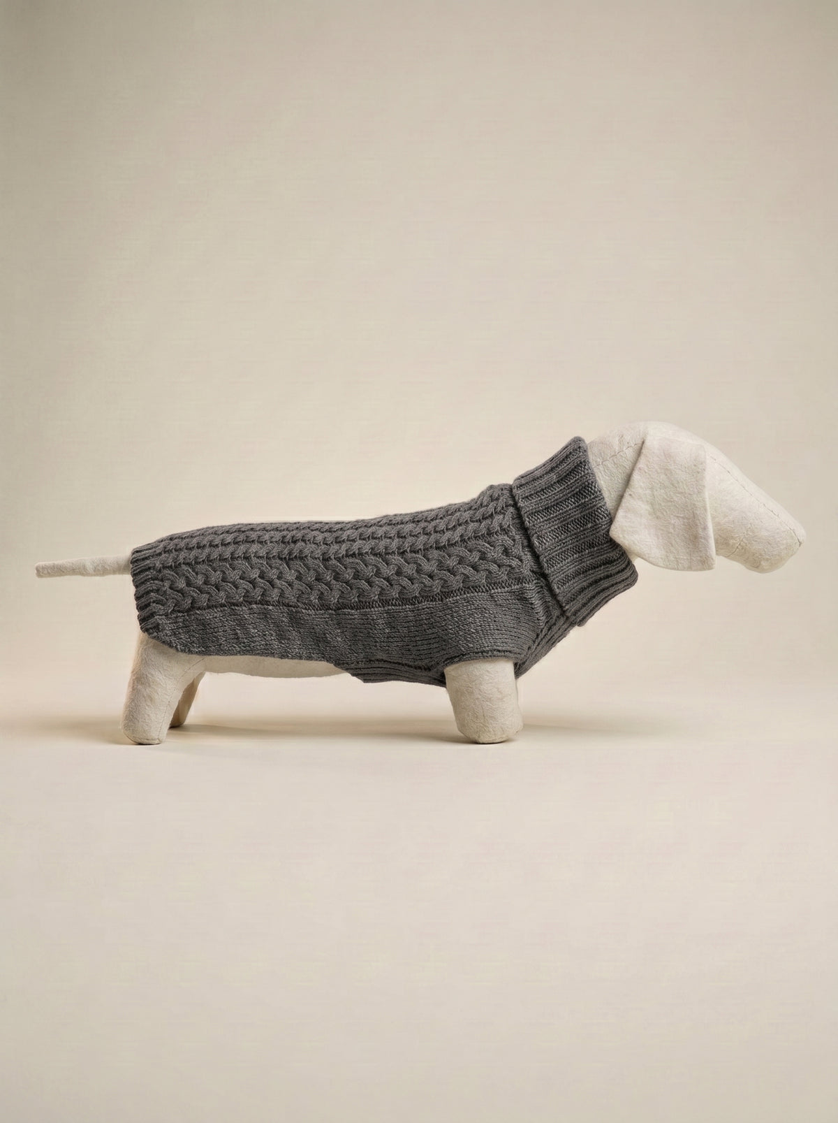 jersey para perros