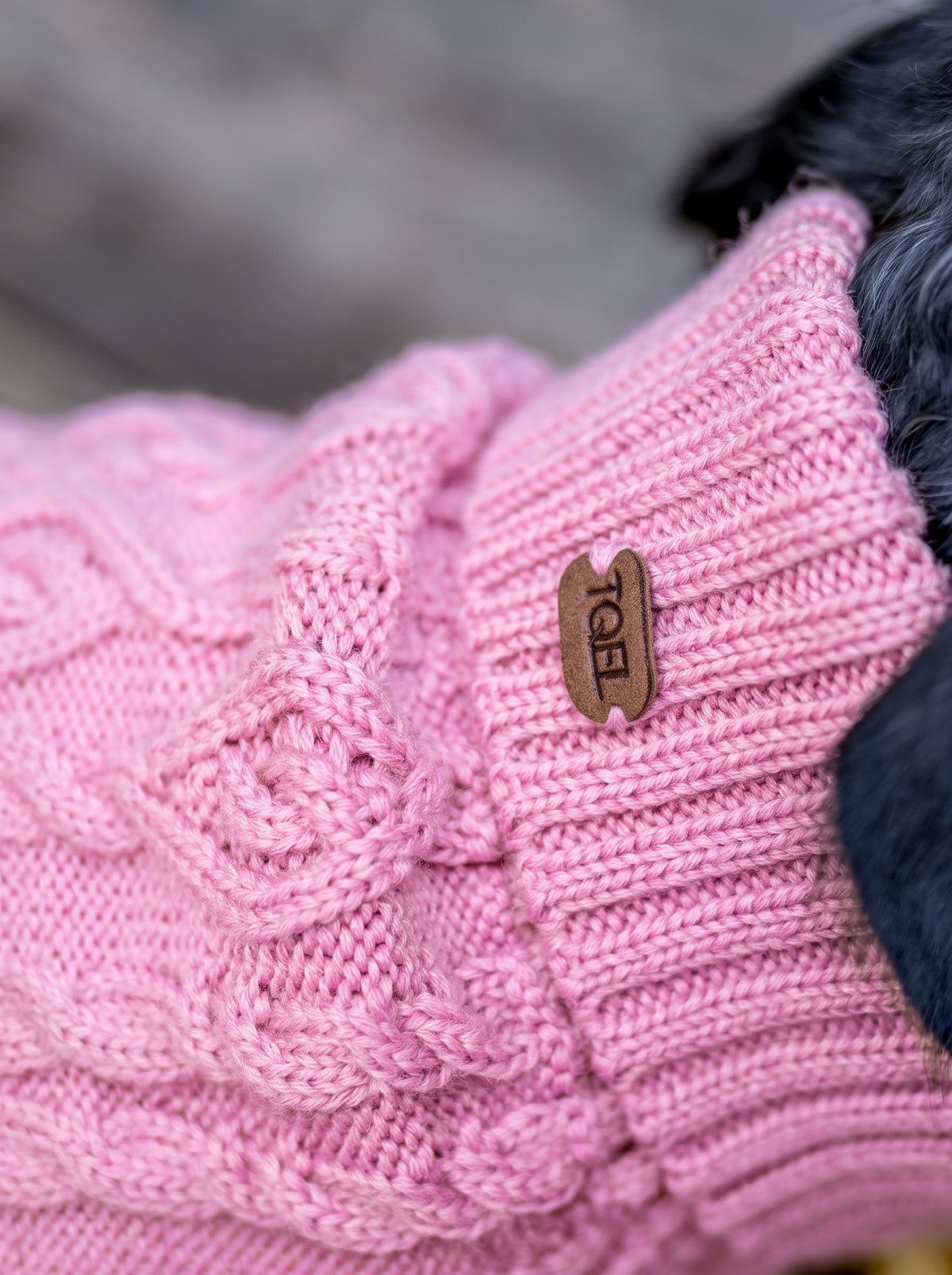 Jersey para perros