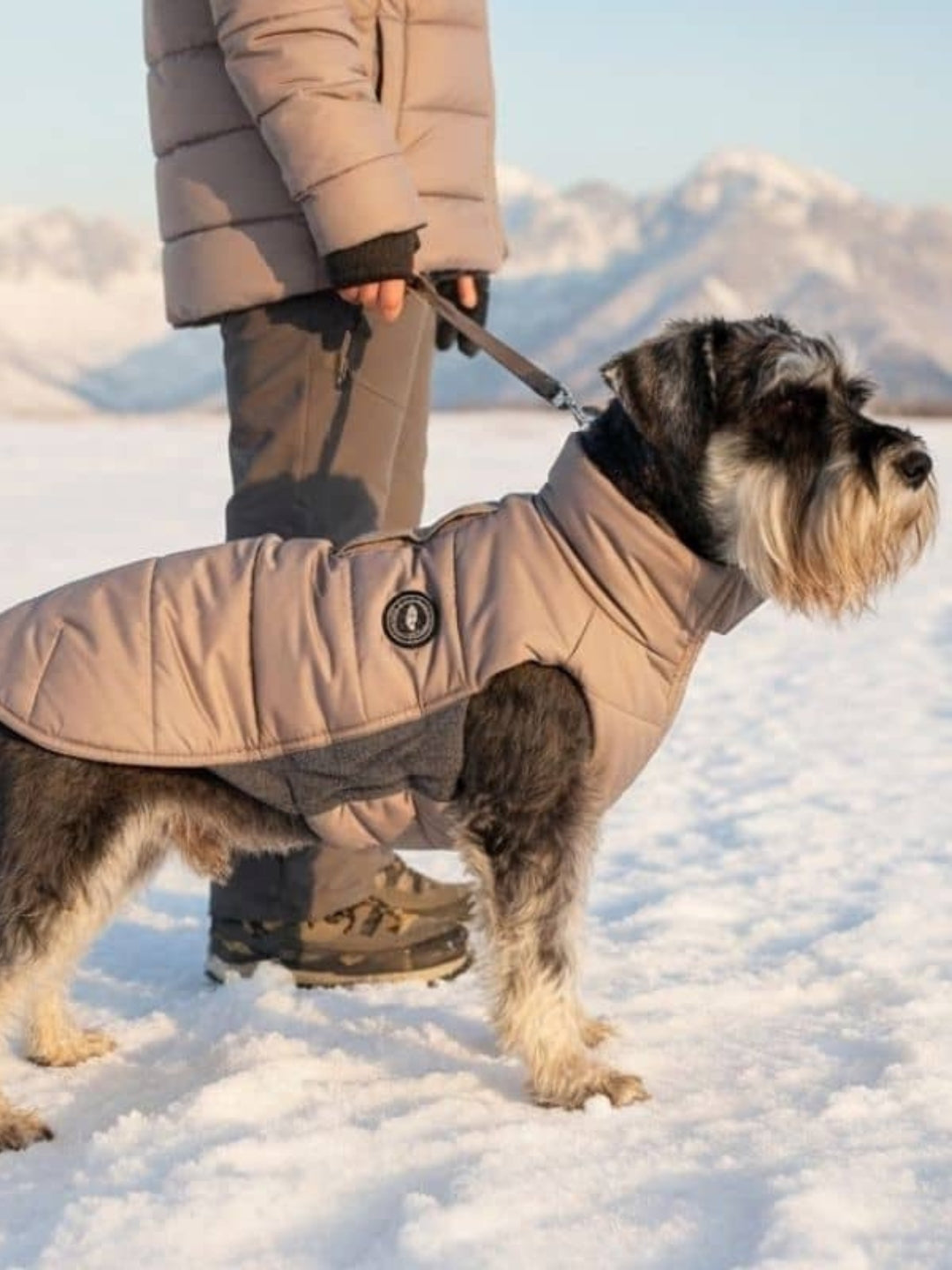 Artic Taupe Feathers