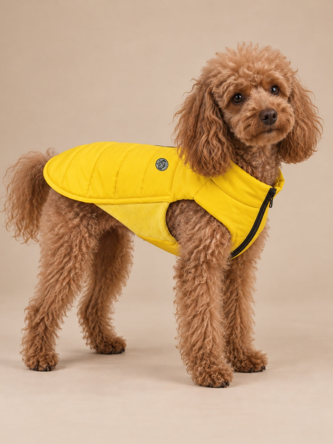 Artic-Daunenjacke Yellow