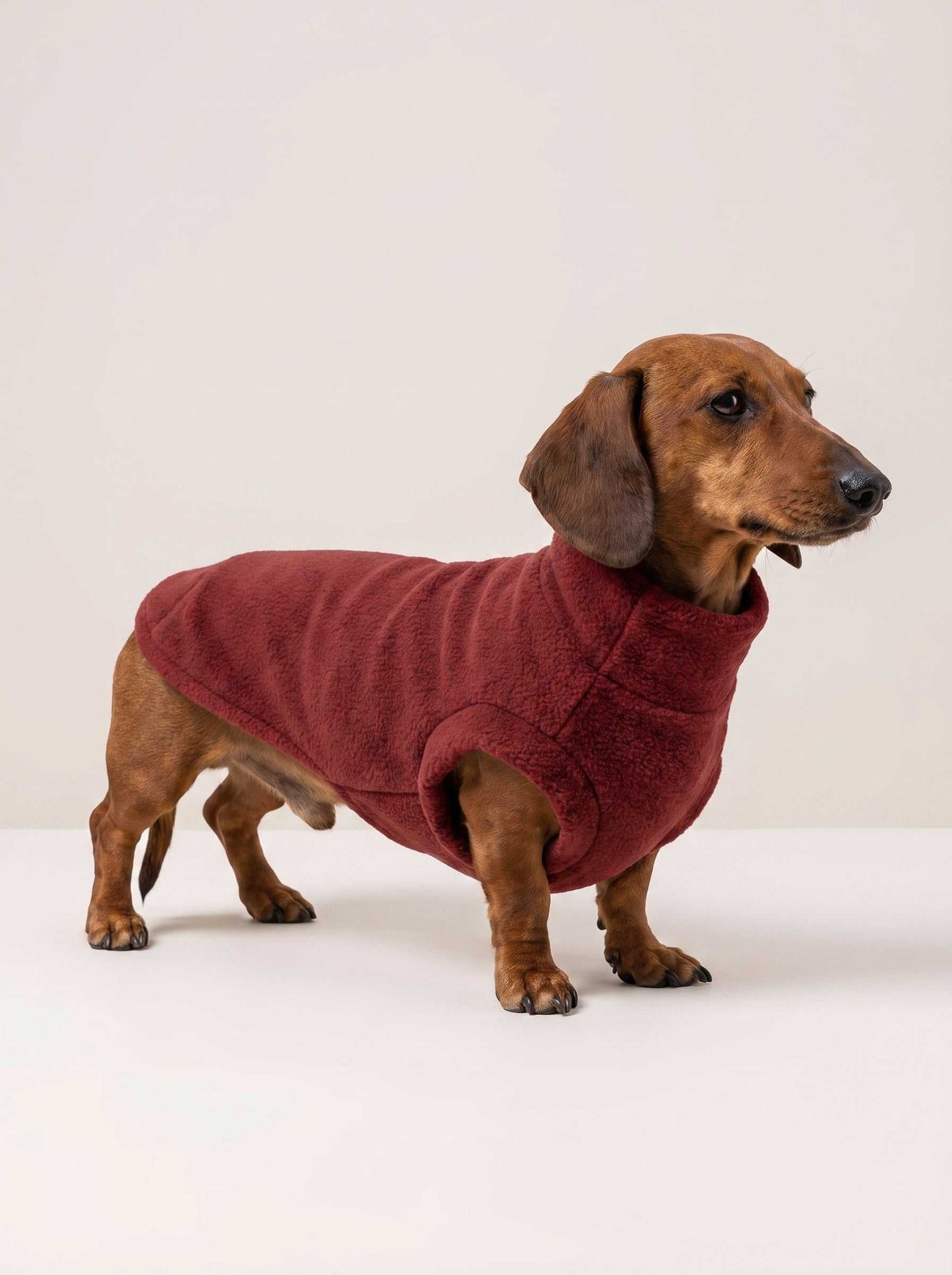 Abrigo polar Alaska Dark Red