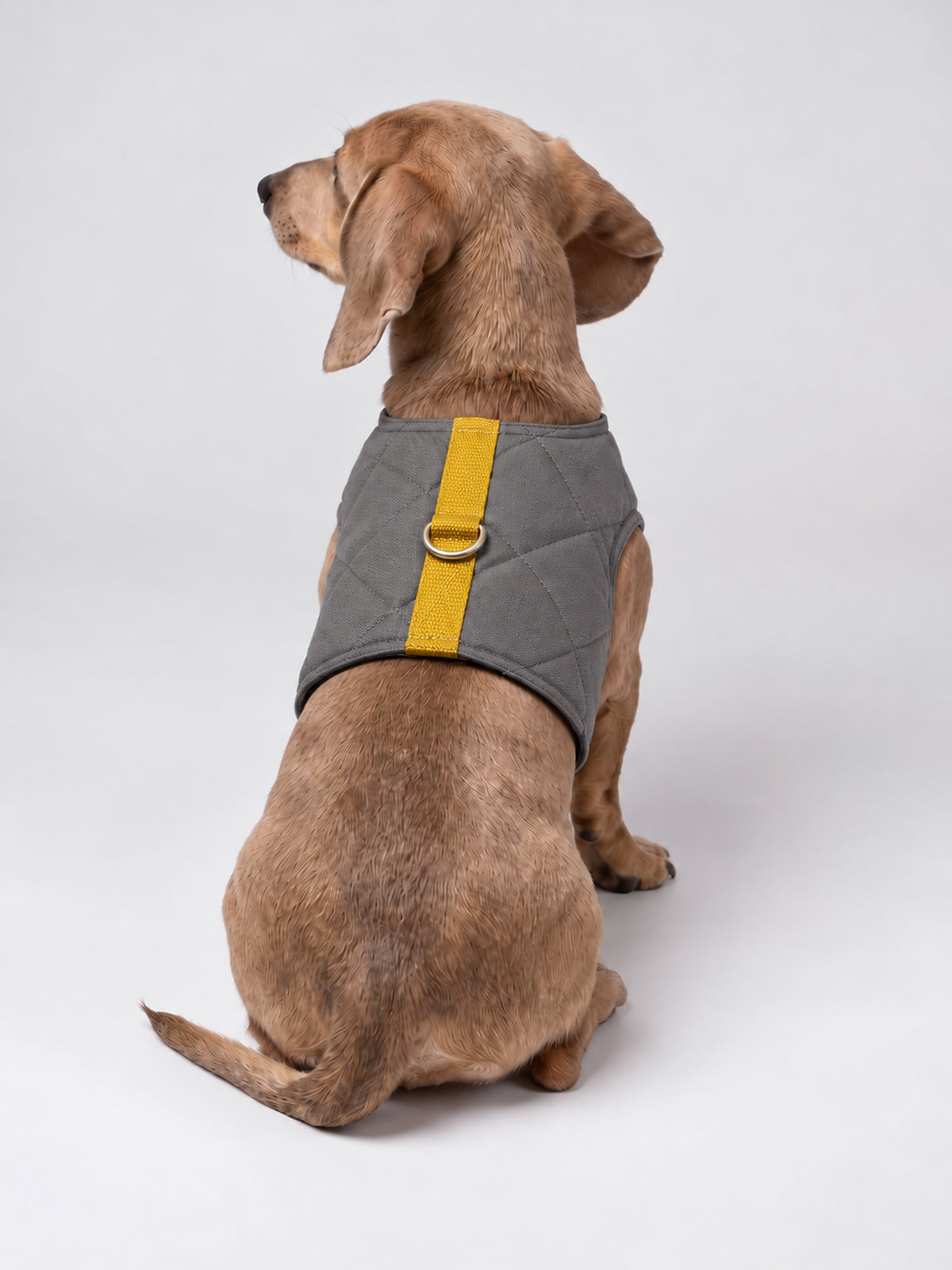 Padded Harness Grey