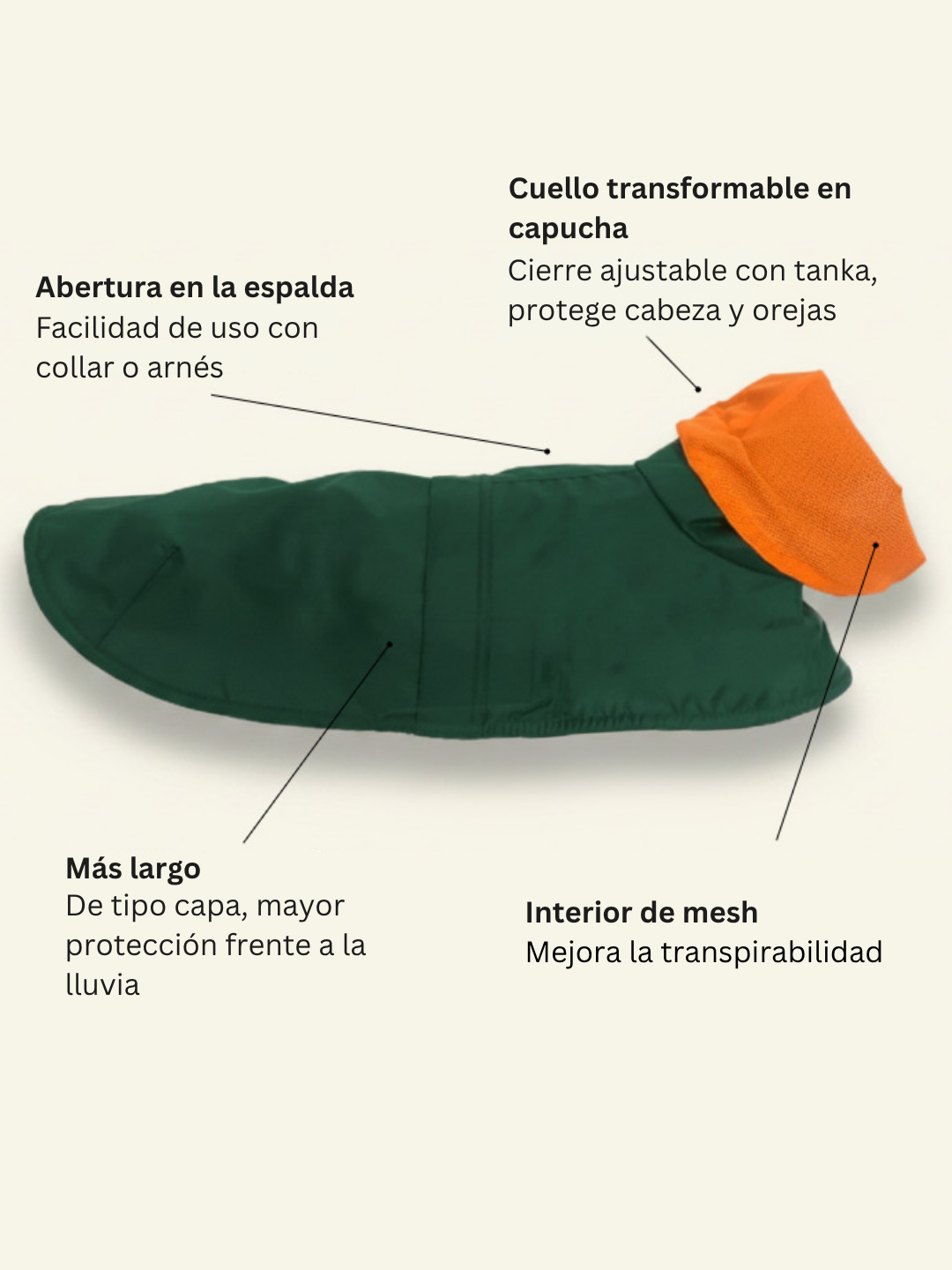 Tintin Air Green Raincoat