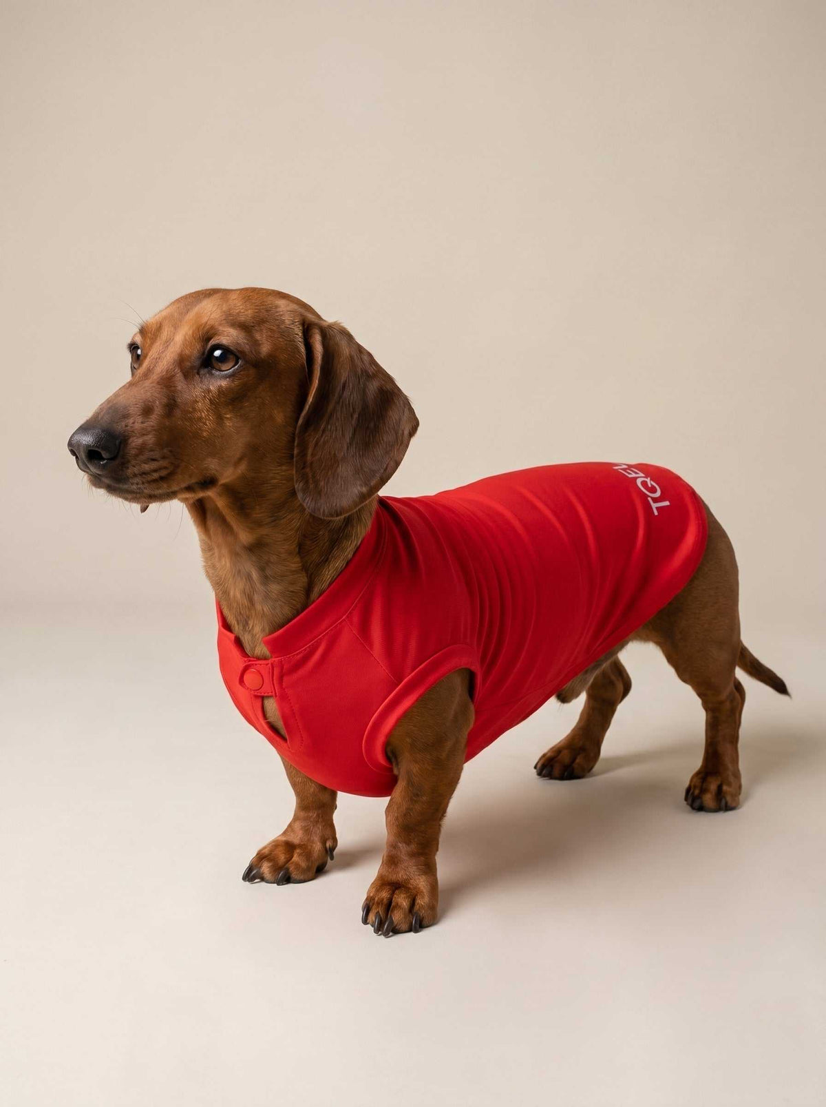 Camiseta Solar Red