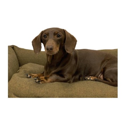 Dreamer Dijon dog bed - 3