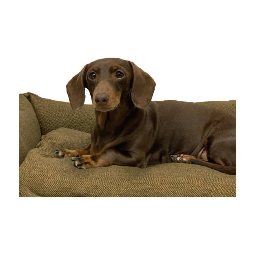 Dreamer Dijon dog bed - 3