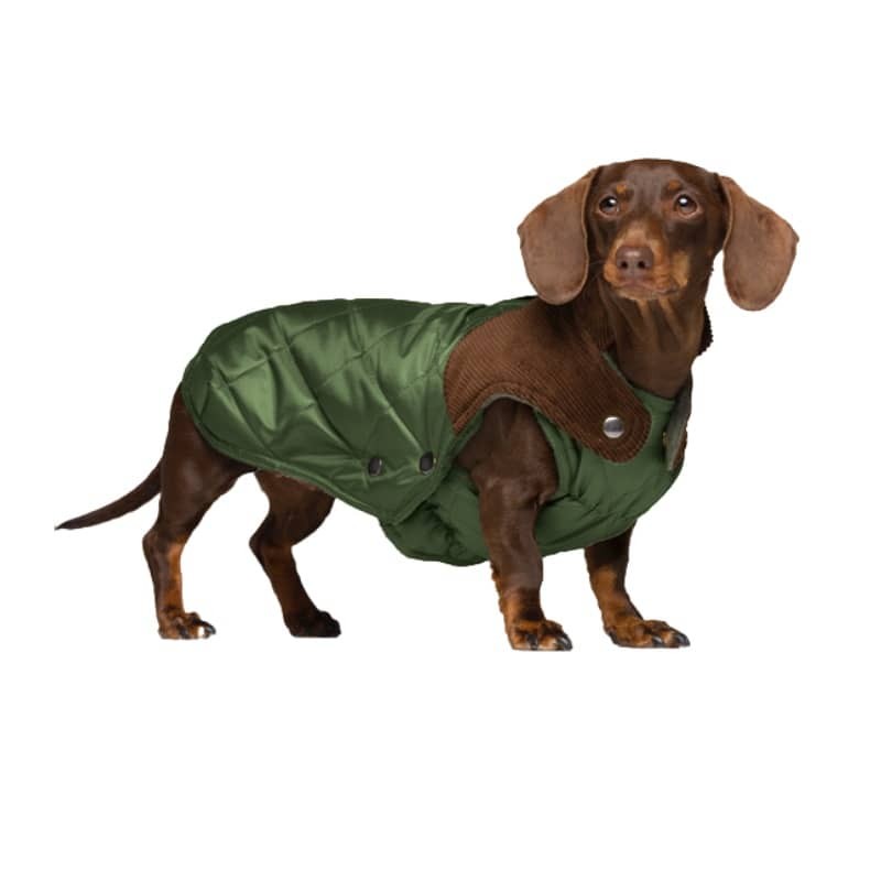 Hunderegenmantel Willy Olive