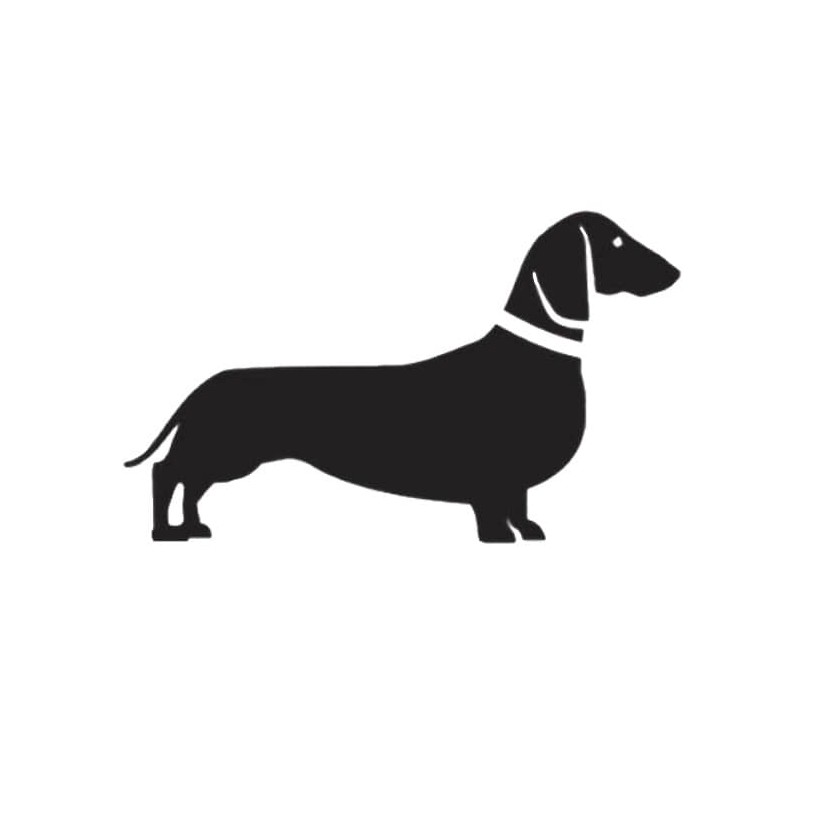 Dackel Vinyl gross - 3