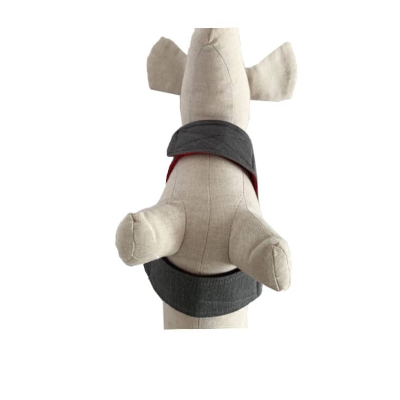 Hundegeschirr Roma für den Sommer - 5