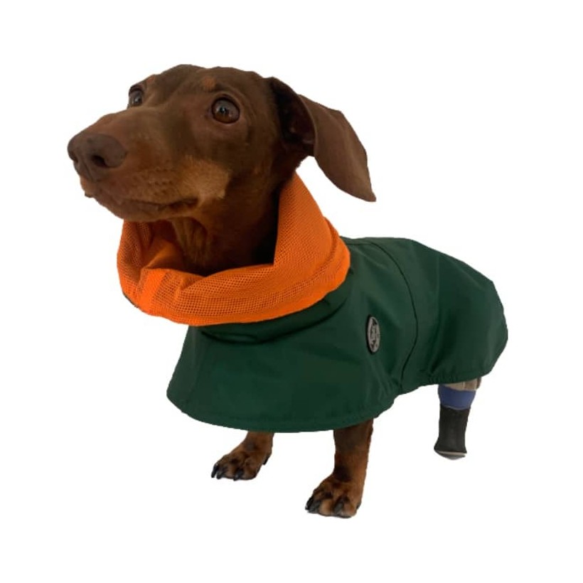 Hunderegenjacken Tintin Air Green - 5