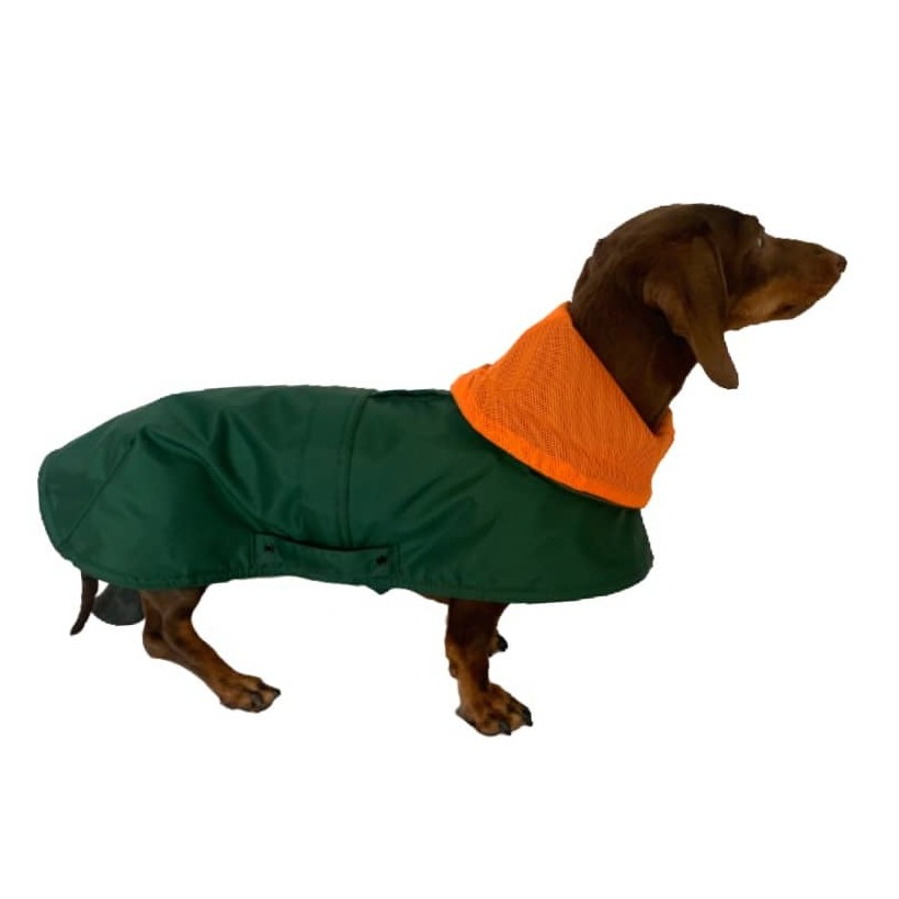 Hunderegenjacken Tintin Air Green - 6