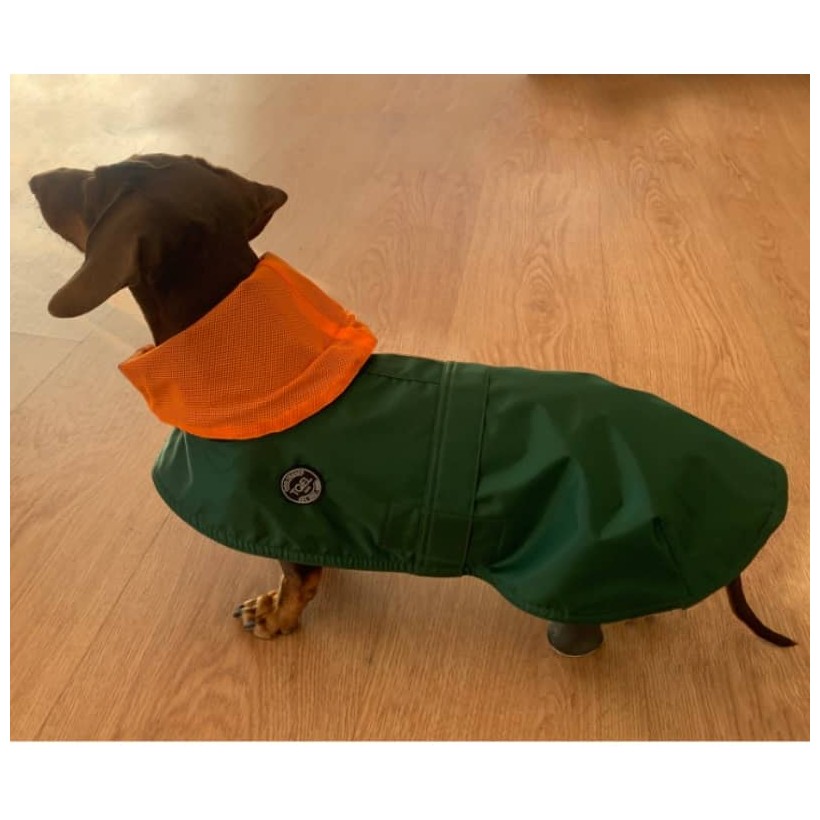 Hunderegenjacken Tintin Air Green - 7