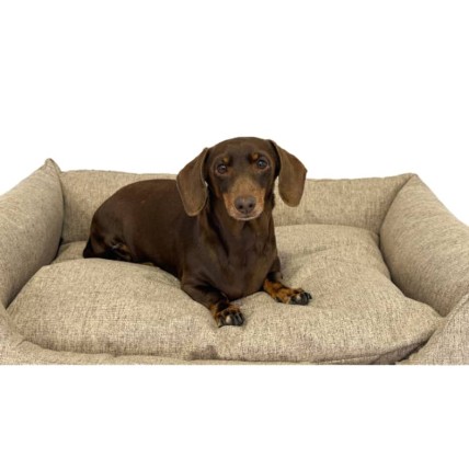 Hundebett Wasserdicht Dreamer Sand - 4