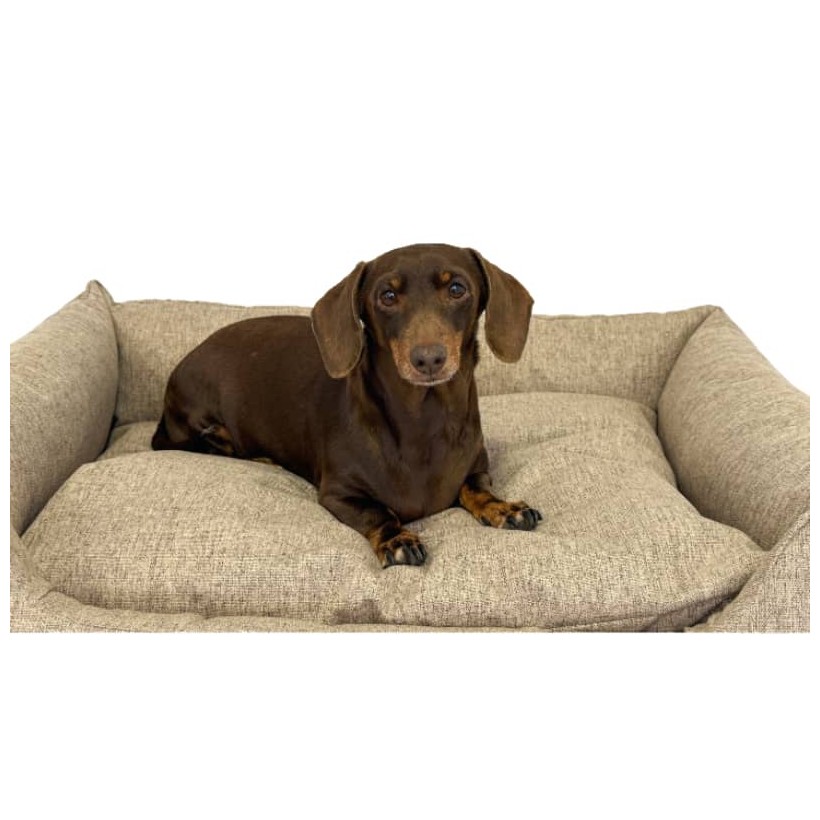 Hundebett Wasserdicht Dreamer Sand - 4