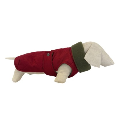 Hunderegenmantel Maxi Wine - 3