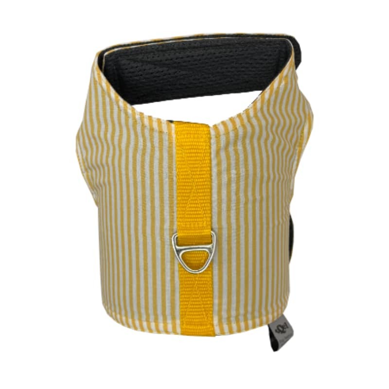 Hundegeschirr Stripes Yellow für den Sommer