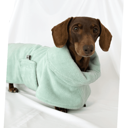 Mint dog bathrobe