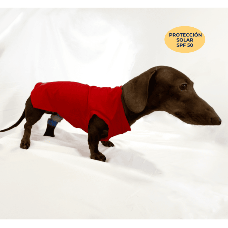 Hundeshirt Solar Red