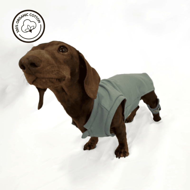 Hundeshirt Organic Green