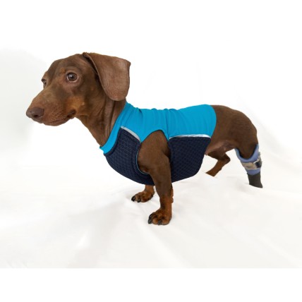 Hundekühlweste FresQo