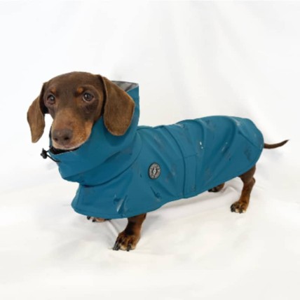 Tintin Dino dog raincoat