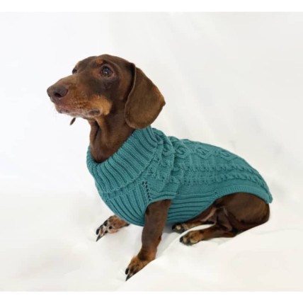 Paul Aquamarine dog sweater