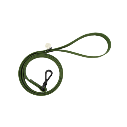 Wasserdichte Hundeleine Olive