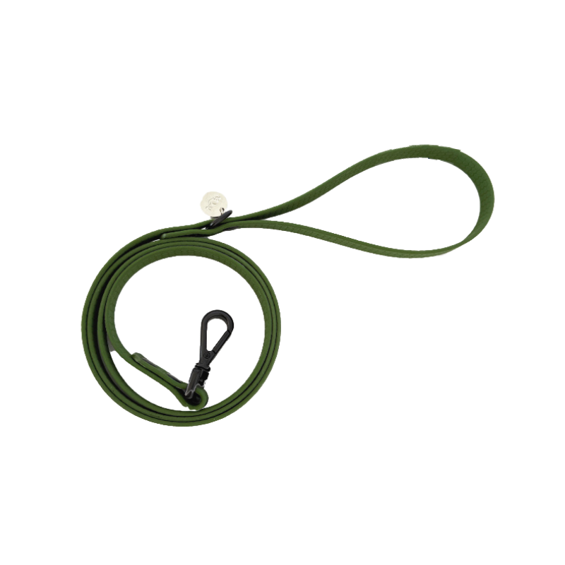 Wasserdichte Hundeleine Olive