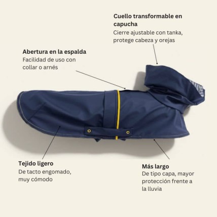 Tintin Blue dog raincoat