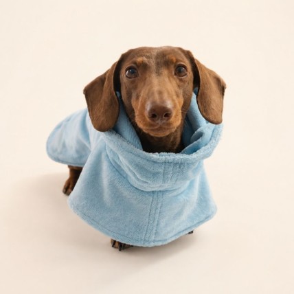 Hundebademantel Spa Blue
