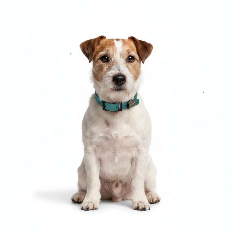Hunter wasserdichtes Hundehalsband