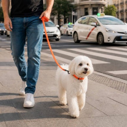Glow waterproof dog leash