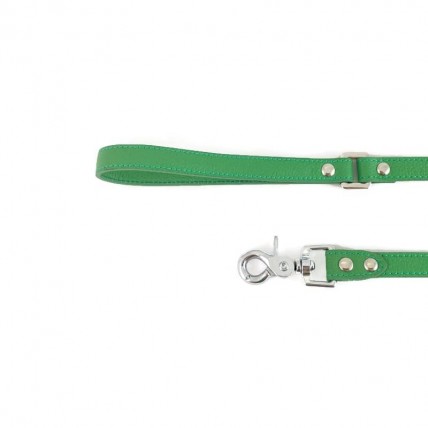Hundeleine Mint aus Leder - 2
