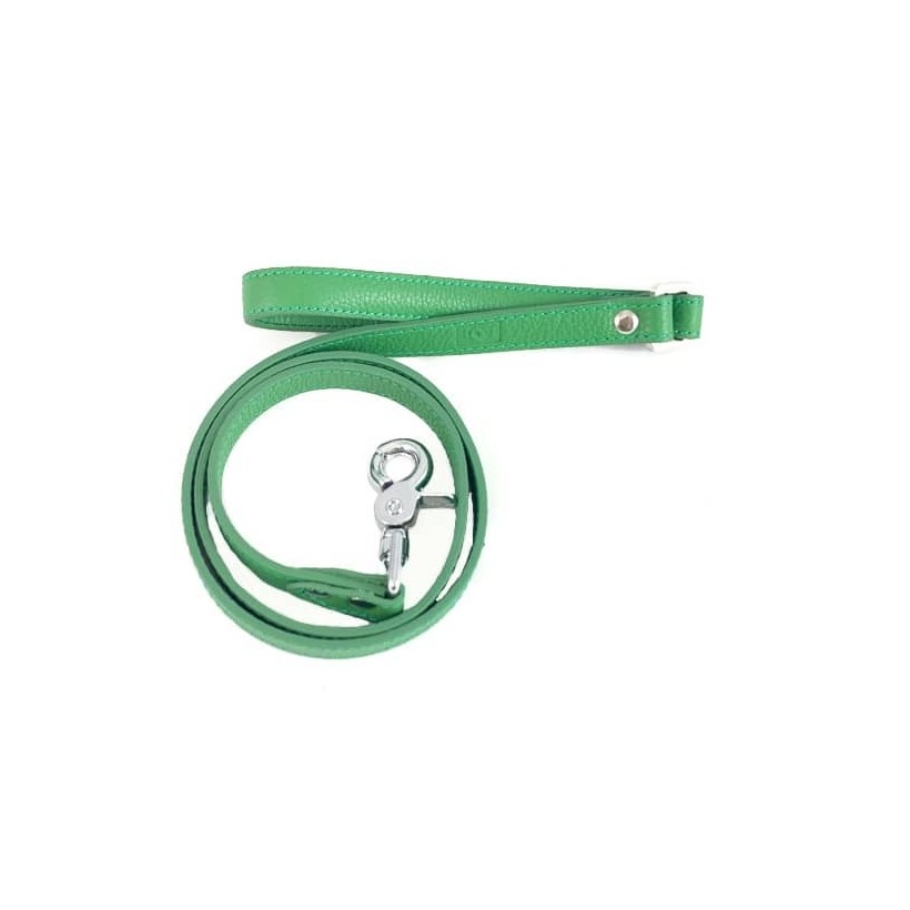 Hundeleine Mint aus Leder - 1