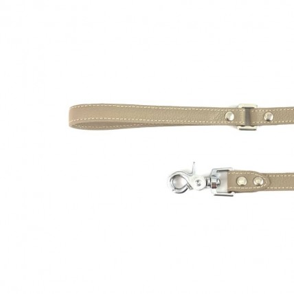Hundeleine Taupe aus Leder - 2