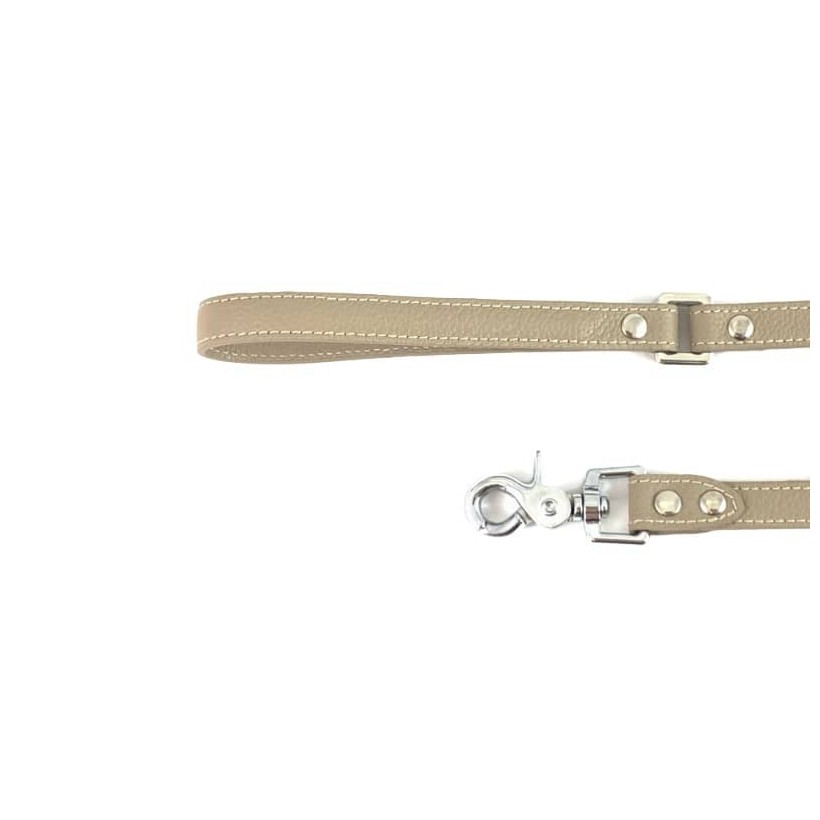 Hundeleine Taupe aus Leder - 2