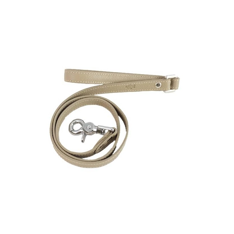 Hundeleine Taupe aus Leder - 1