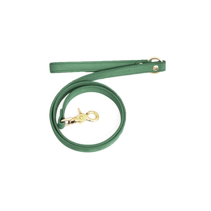 Hundeleine Forest aus Nubukleder - 1