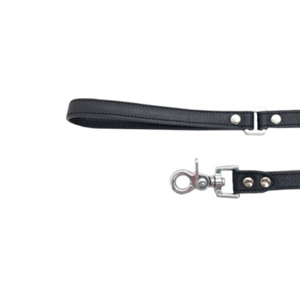 Hundeleine Noir aus Leder - 2