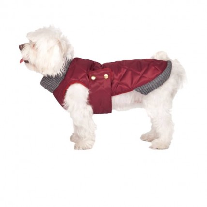 Hunderegenmantel Simon Wine - 4