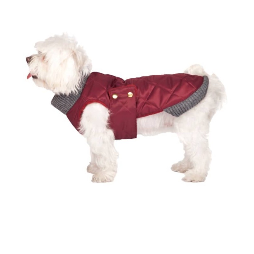 Hunderegenmantel Simon Wine - 4