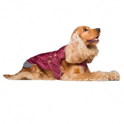 Hunderegenmantel Simon Wine - 3